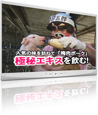 天草テレビ番組完成（梅肉ポーク）