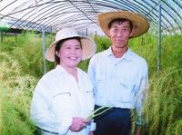 野菜づくりの仲間〜日羅山　重明さん(アスパラガス)