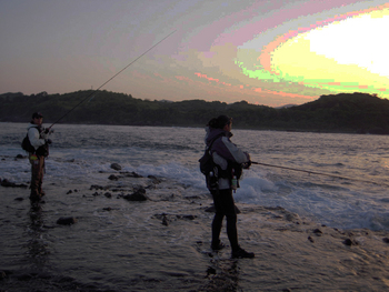 新心・・「希望と夢」