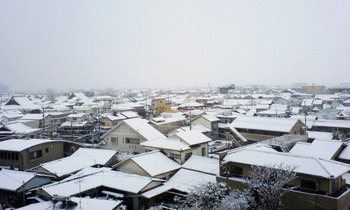 雪の日