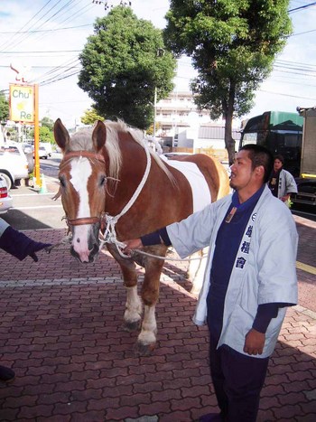 お客さんは?・・・お馬さん!!