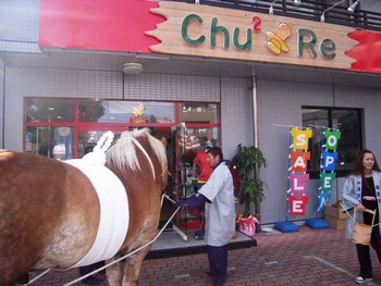 お客さんは?・・・お馬さん!!