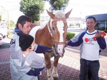 お客さんは?・・・お馬さん!!
