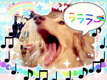 ブロガーさん必見!!