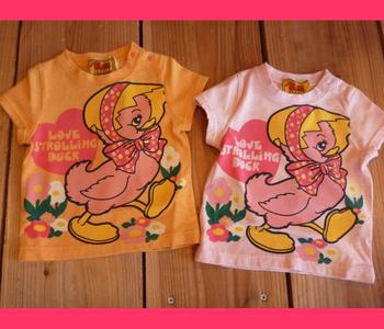エコレッテ&ベリキャン&キラーキラー♪♪
