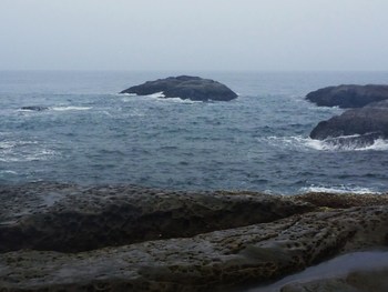 宮崎にいってきました・・・