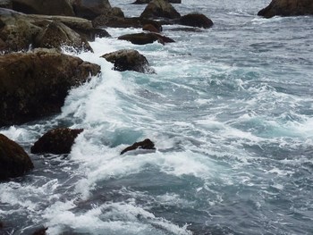 宮崎にいってきました・・・