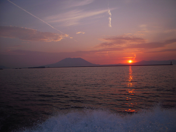 新心・・「希望と夢」