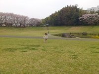『ひごなび！』 と『お花見＆公園三昧日記♪』