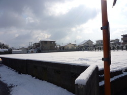 気付けばもう土曜日。。。