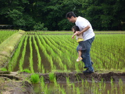 そんなこんなで、日曜日ですが『お休み』致します・・・。