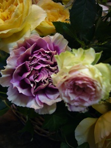 お見舞いの花