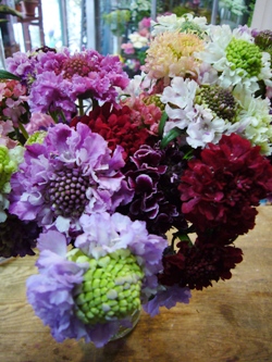 今日の花