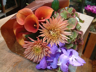 今日の花