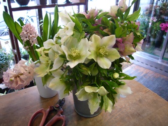 今日の花