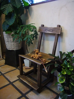コットンテディベア