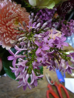 お祝いの花