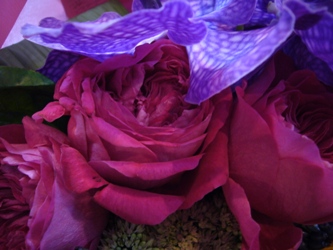 バンダの花束