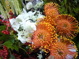 今日の花は