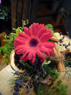 今日の花