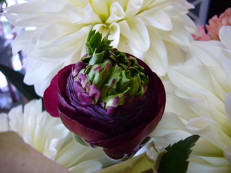 お祝いの花