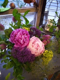 スモークツリーと芍薬のアレンジメント 2013/06/06 18:33:18