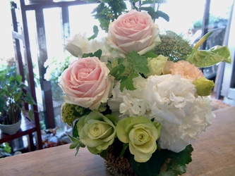 今日の花