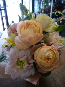 今日の花