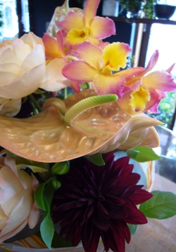 今日の花
