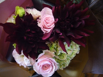 今日の花