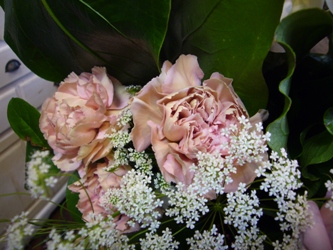 久しぶりに…今日の花
