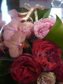 今日の花