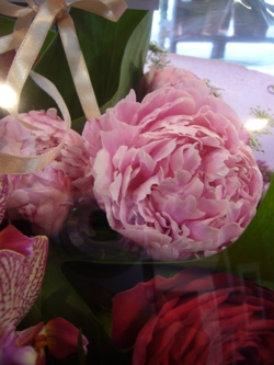 今日の花