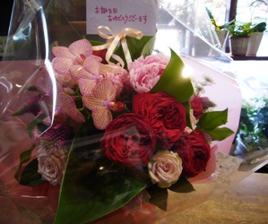 今日の花