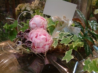今日の花