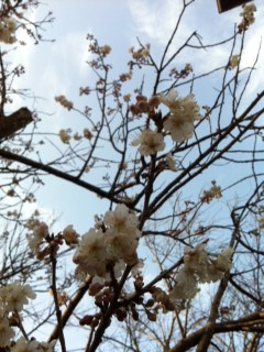懐かしかったです☆