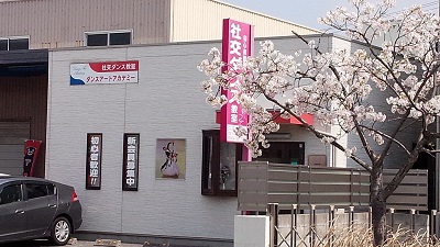 今年も桜が咲きました 今年も桜が咲きました