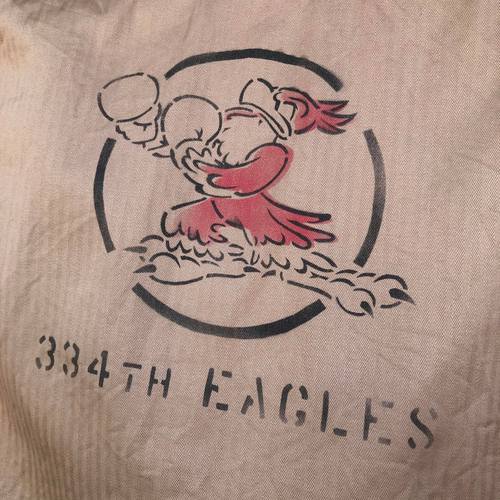 BUZZ RICKSONS HERRINGBONE WORK SHIRT 334th EAGLES