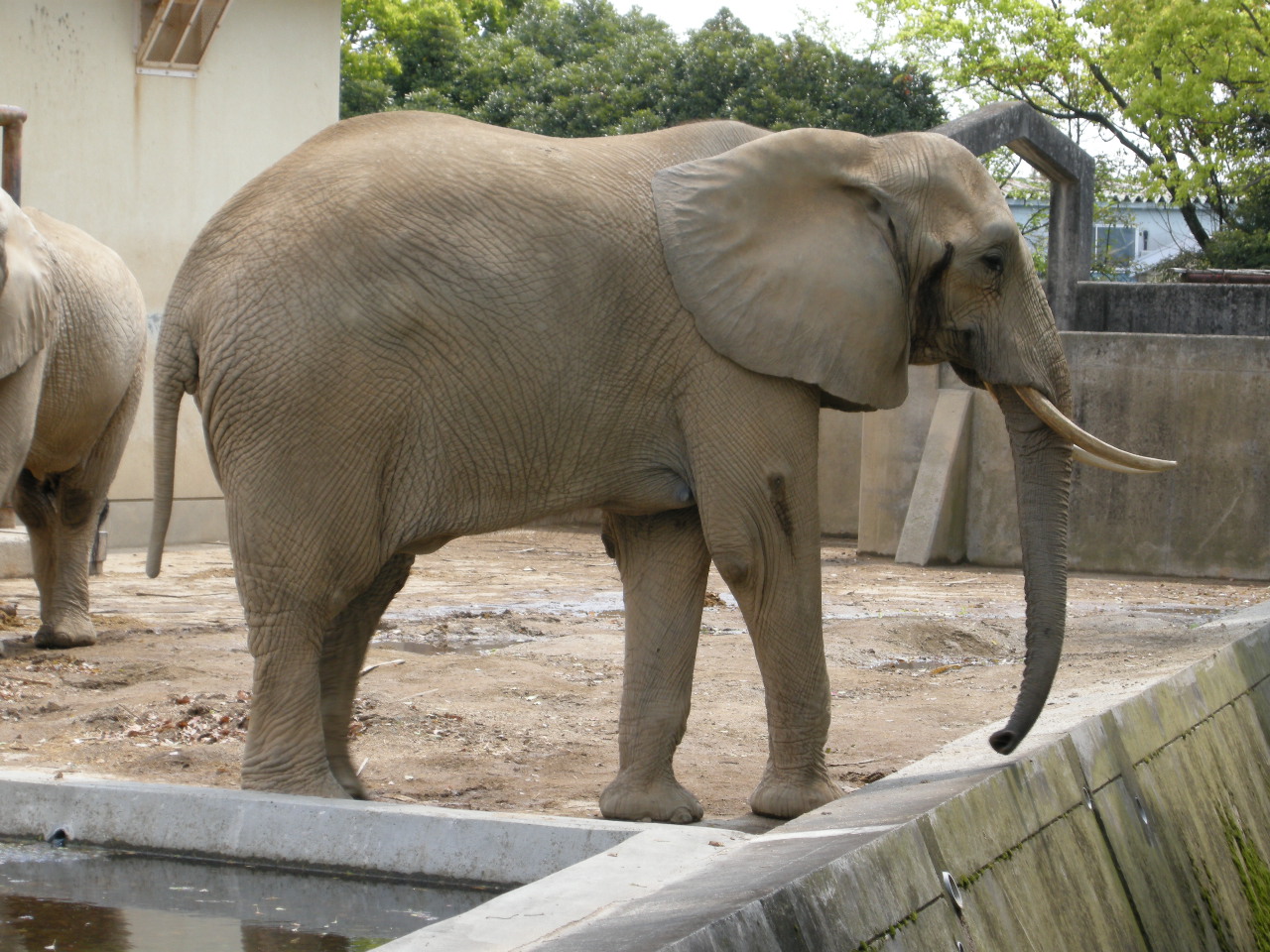 動物園の写真