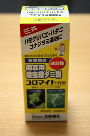 タイ野菜 白ナスに蕾&無敵の唐辛子