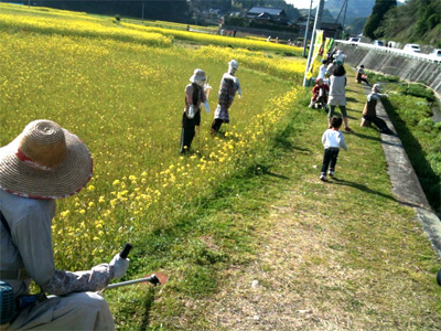 酒造開き&お花たち