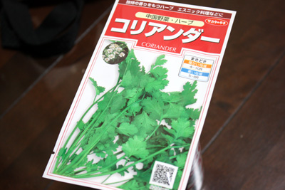 ハーブ三昧。続々と。