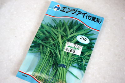 改めて空芯菜開始!