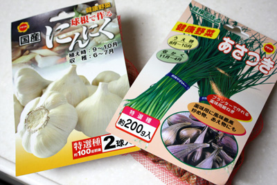 秋植え野菜スタート!!
