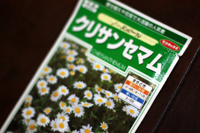 秋のお花風景