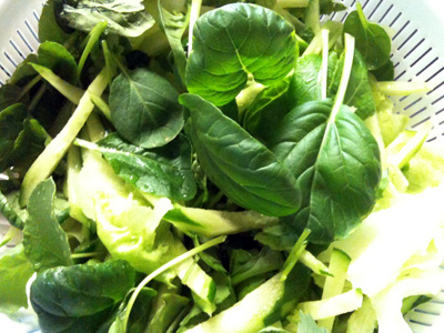 種蒔き再スタートと葉野菜達。