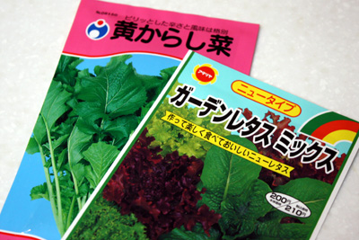 葉野菜 開始!