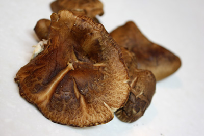 干椎茸