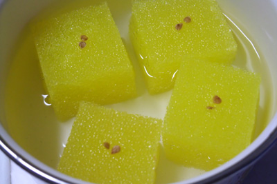 トマトの種蒔き