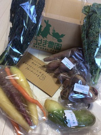 うさぎ農園の野菜 2019/12/04 14:17:47